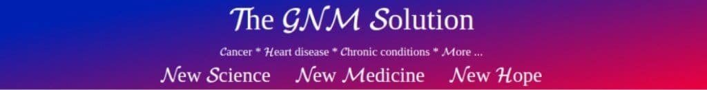 The GNM Solution logo